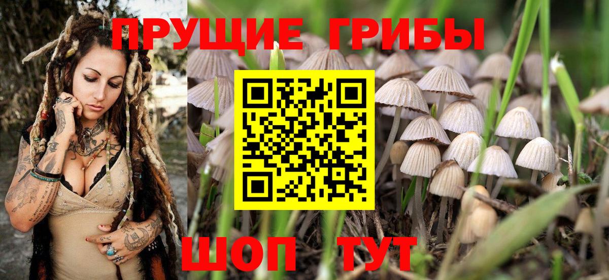 Галлюциногенные грибы Psilocybe  Вход с VPN  где можно купить наркотик  Альметьевск 